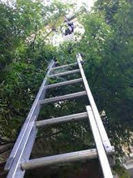 We did not find results for: About Joe S Window Cleaning Company Joe S Window Cleaning Solar Panel Cleaning Cobweb Removal And Gutter Clearing
