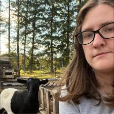 why have my chickens stopped laying eggs?