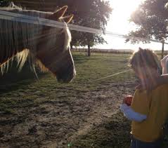 The horses for healing program was so positive for. Healing Horses For A Little Girl With Down Syndrome Easterseals Blog