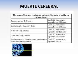 La muerte encefálica, también llamada muerte cerebral, se define como el cese completo e irreversible de la actividad encefálica o cerebral. Trasplante De Organos De Paciente Con Muerte Cerebral Ppt Descargar