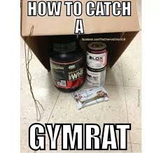 … with the gym rat badge, you will no longer . Gym Rat Meaning