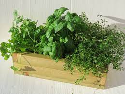 Rustic Wooden Window Box 3 Pot Long Indoor Herb Garden Etsy Indoor Herb Planter Indoor Herb Garden Wooden Window Boxes