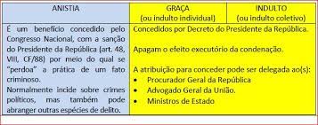 O professor explica que anistia é a lei que provoca o esquecimento jurídico penal de um fato e por isso extingue sua punibilidade. Anistia X Graca X Indulto Adelson Benvindo