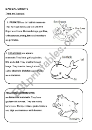 Mindful breathing is a simple practice available to all. Mammal Groups Esl Worksheet By Yovily23