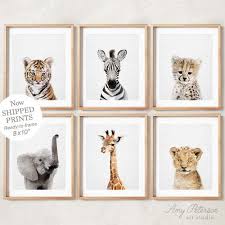 Baby Safari Animals For Nursery Animal Wall Art Nursery Etsy In 2021 Animal Wall Art Nursery Animal Nursery Nursery Room Boy