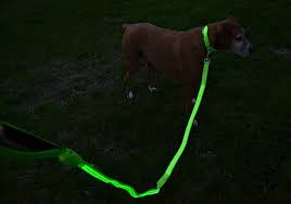 Just be sure to recharge the batteries on the. Best Led Dog Collar Harness And Leash 21 Tested