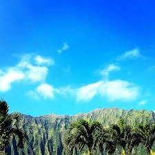 Calvary chapel kaneohe is located in kaneohe on the windward side of oahu but we're also blessed to have an amazing online church as well, where anyone globally can join us by watching pastor jd farags weekly updates! Photos At Calvary Chapel Kaneohe 2 Tips From 22 Visitors