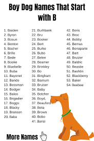 Choosing the perfect name for your baby boy can be a challenge. Dog Names That Start With B Online 50 Off Www Ingeniovirtual Com