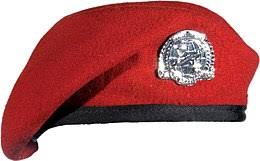 Check spelling or type a new query. Red Beret Wikipedia