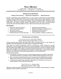 CareerPerfect® - Sales Management Sample Resume