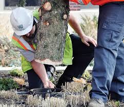 Mt. Prospect Couple Brings In Holidays