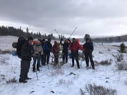 Pelican creek nature trail is a 0.8 mile lightly trafficked loop trail located near yellowstone national park, wyoming that features a lake and is good for all skill levels. In The Pass From Lamar Valley To Pelican Valley Bild Von Yellowstone Wild Gardiner Tripadvisor