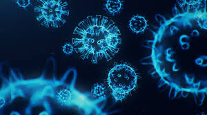 The delta variant was first detected in india in december 2020 and has now spread to 60 nations, the cdc says. Delta Plus Has More Affinity For Lung Tissues Compared To Other Covid 19 Strains Ntagi Chief Deccan Herald