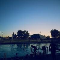 Visit swimmingpool.com for more info. Bellflower Aquatic Center Pool In Bellflower