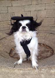 Black Dog Beret And Scarf Set Various Sizes By Doginafez On Etsy Black Dog Dogs Dog Hats