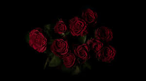 Jun 23, 2021 · wallpaper; Aesthetic Black And Red Wallpaper 4k