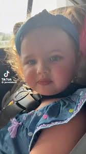 University of Tennessee Alumni Association- Bay Area Chapter