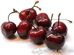 Propiedades Y Beneficios Nutricionales De Las Cerezas Botanical Online