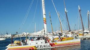Image result for Selago barabei