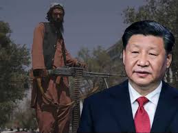 Jul 31, 2021 · the taliban are backed by iran, russia, china and other their closed neighbor country whose animosity are with america and western world not with afghan people or govt. Pwwq5pmgq93gum