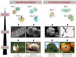 A high ige level is above 592 units per milliliter. Ige In The Diagnosis And Treatment Of Allergic Disease Journal Of Allergy And Clinical Immunology