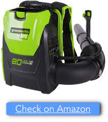 Best Backpack Leaf Blowers Our Top 6 Picks 10 Unbiased Blowers Greenworks Leaf Blowers