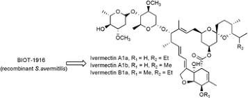 Ivermectin is an important part of a parasite control program for certain species and should only be given to animals for approved uses or as prescribed by a veterinarian in compliance with the. Direct Production Of Ivermectin Like Drugs After Domain Exchange In The Avermectin Polyketide Synthase Of Streptomyces Avermitilis Atcc31272 Organic Biomolecular Chemistry Rsc Publishing