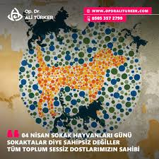 Dunyamizin Sadece Bize Ait Olmadigini Icinde Yasayan Tum Varliklar Ile Birilikte Bir Butun Oldugunu Anladigimizda Birlikte Yasadigimiz Bu Du