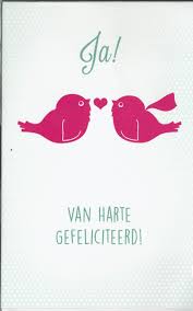 Felicitatie Kaart Met Ja Opschrift En Love Birds