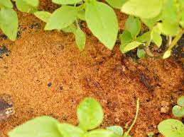 The depth of mulch needed depends on the material used. 14 Uses For Sawdust In The Garden With Tutorials Gardening