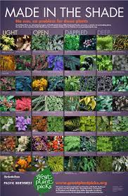 Pin By Brenda Roesch On Shade Plants Shade Garden Plants Plants Shade Garden Design