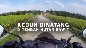 Are you looking for suitable accommodations in perbaungan? Rute Perbaungan Kebun Binatang R Zoo Park Pegajahan Youtube