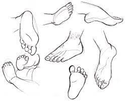 They are also often it is the fluff that will help us draw them is a few simple steps. Human Anatomy Fundamentals How To Draw Feet