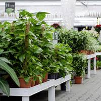 2, 90482 nürnberg heute geschlossen 0,00 km. Die 9 Besten Gartencenter In Nurnberg 2021 Wer Kennt Den Besten