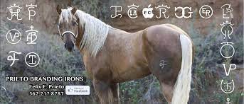 Looking for freeze brand irons? Prieto Branding Irons Home Facebook