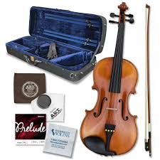 Image result for Viola eminii