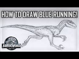 Join the adventure and excitement with. How To Draw Blue The Velociraptor Jurassic World Ø¯ÛØ¯Ø¦Ù Dideo