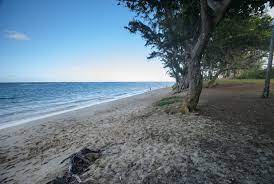 The best choice for you. Kokololio Beach Park Campground Outdoor Project