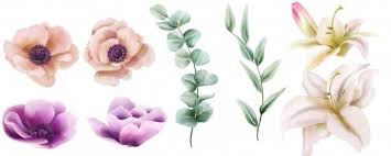 Watercolor Set Of Hibiscus And Peony Flo Free Vector Freepik Freevector Watercolor Retro In 2020 Watercolor Flower Vector Botanical Flowers White Lily Flower