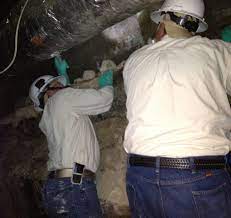 If you live in denton tx, or denton county texas area and require pest control services we look forward to providing you the first class services you expect and deserve. A Smart Pest Control Denton Tx Denton County Texas Www 365pest Com