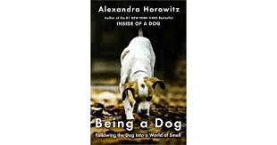 Designate a room or a corner and fill it with their water and food bowls, . Being A Dog Following The Dog Into A World Of Smell By Alexandra Horowitz