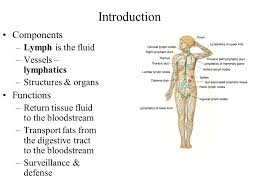 Lymphatic System Chapter 22 Introduction Components Lymph Is The Fluid Vessels Lymphatics Structures Organs Functions Return Tissue Fluid To Ppt Download