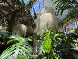 Epingle Sur Inspiration Jardins
