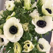 We did not find results for: How To Grow Anemones And Ranunculus Bees And Bubbles