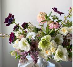 We did not find results for: Alaska Peony Cooperative The Flower Podcast