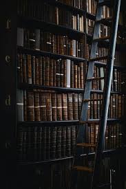 Never Too Late Bibliothek Zuhause Hausbibliothek Architektur Studieren