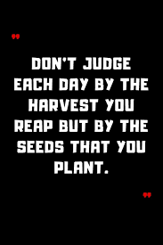 Don T Judge Each Day By The Harvest You Reap But By The Seeds That You Plant 6 X9 120 Pages Journal Amazon Com Br