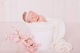 pin auf babybauch newborn babyfotos