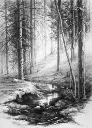 Beautiful Black And White Drawings Of Nature Forest Interior Landscape Pencil Drawings Nature Sketches Pencil Forest Drawing