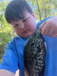 My little boys bream from our lake.
